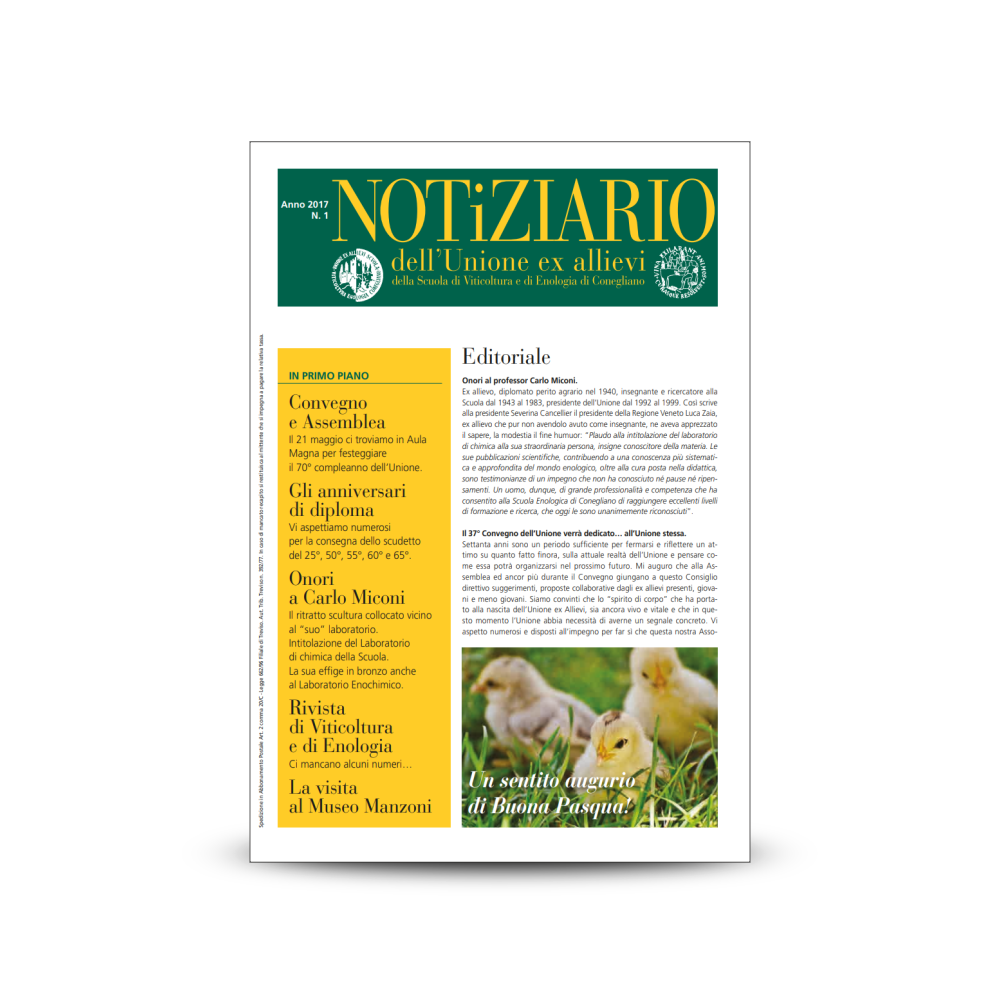 notiziario 2017 n1